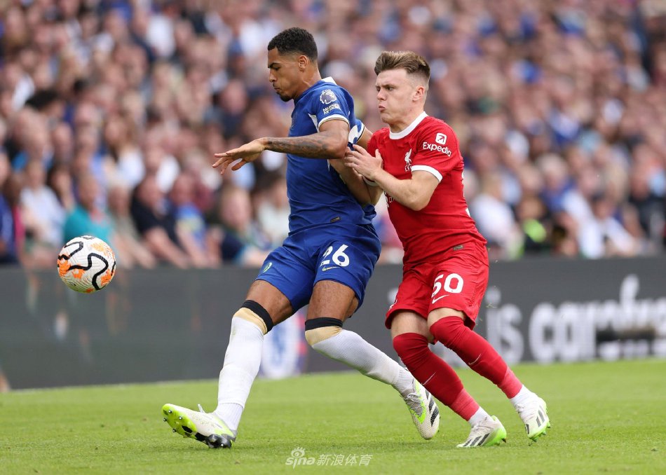 了争夺更好 了争夺更好